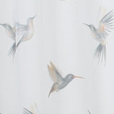 Rideau COLIBRI blanc